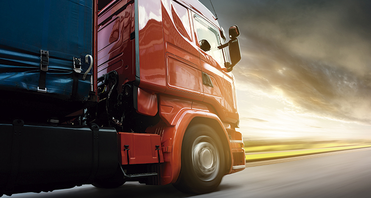 Seguros de Transporte
